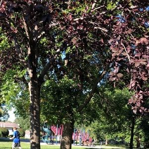 Meet your Posher, Carrie